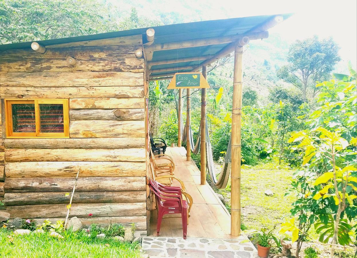 Doron Yoga & Zen Center Hotel Tzununa Ngoại thất bức ảnh